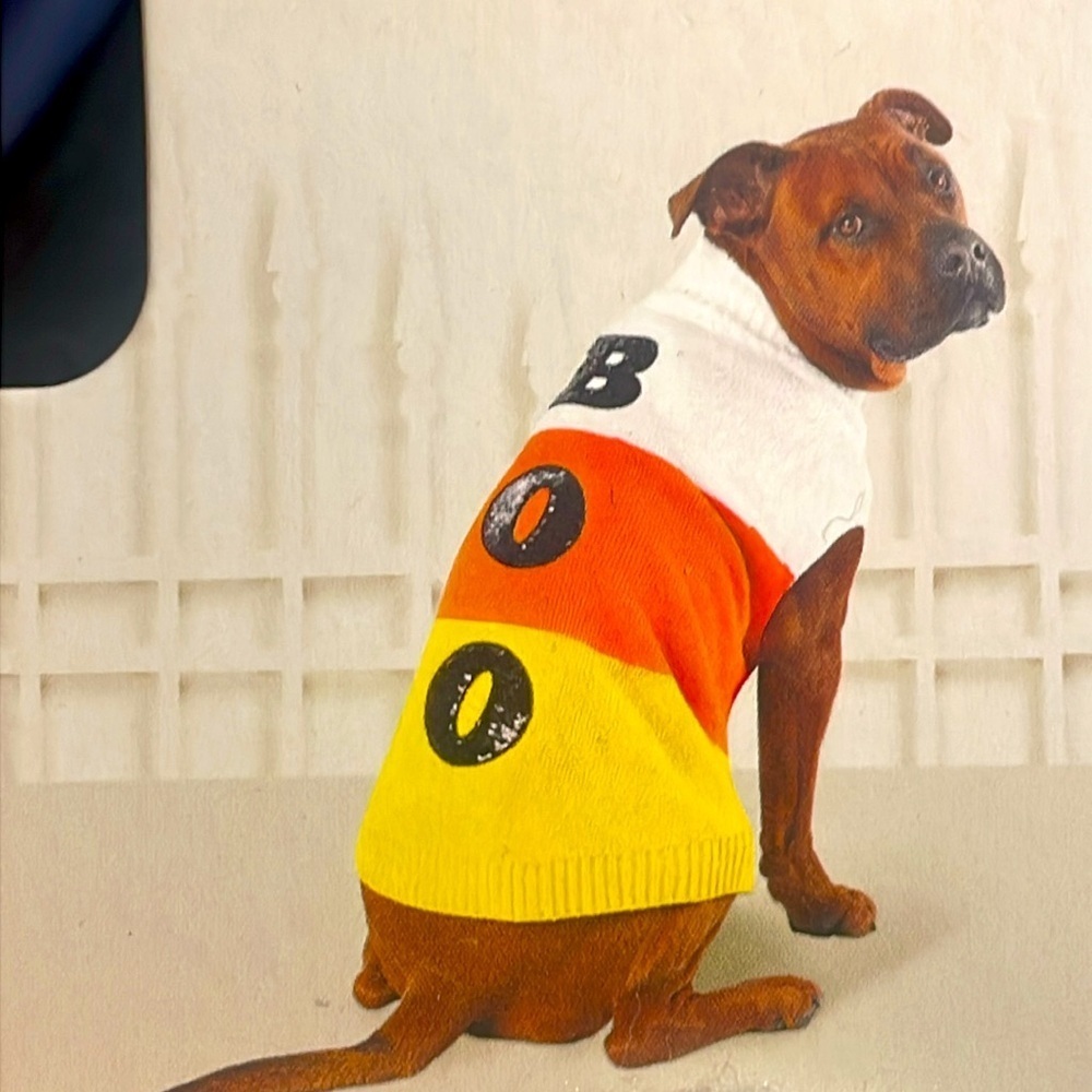 Hyde and Eek pet candy corn sweater black Boo sequins white orange yellow New
